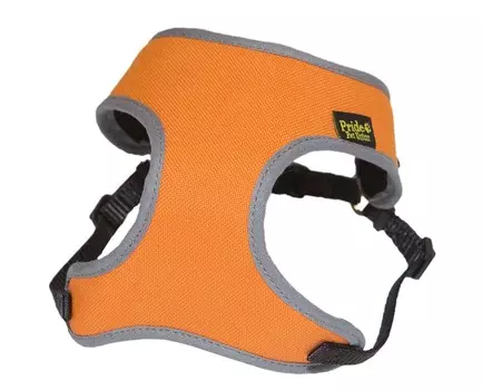 Pride Шлейка "Колор" для собак (S, Оранжевый)
