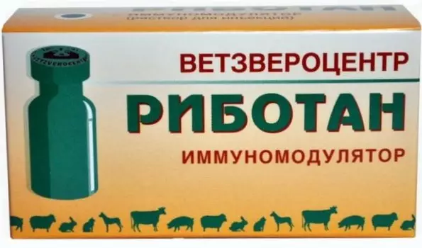 Риботан раствор (1 ампула, 1 мл.)