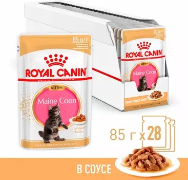 Royal Canin Maine Coon Kitten пауч для кошек породы мейн кун (кусочки в соусе) (Мясо, 85 г. упаковка 28 шт)