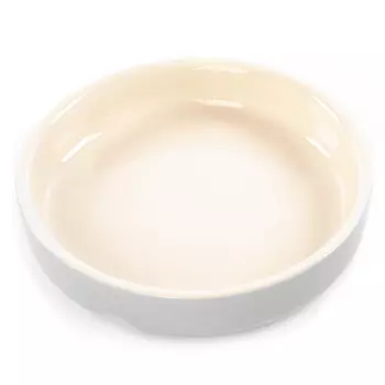 SCRUFFS миска керамическая для мелких пород собак и кошек Icon Soucer (0,2 л., Светло-серая)