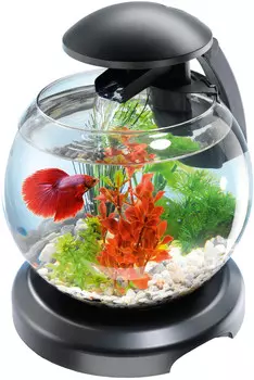 Tetra Cascade Globe (6,8 л.) черный (Черный)