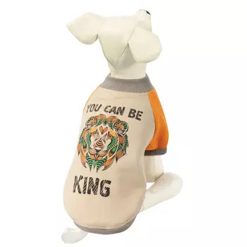 Triol Толстовка "Царь зверей" (S, Унисекс)