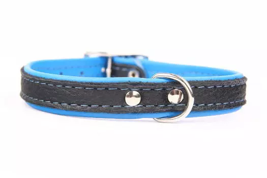 ZOOLESZCZ ошейник для собак Neo Elk (20 х 1,2 см., Голубой)