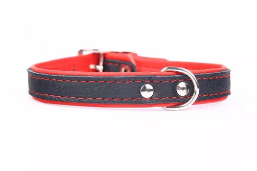 ZOOLESZCZ ошейник для собак Neo Elk (30 х 1,2 см., Красный)