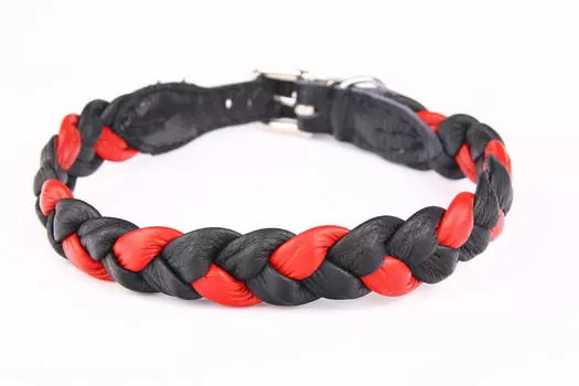 ZOOLESZCZ ошейник для собак Plaited (35 х 2 см., Черно-красный)