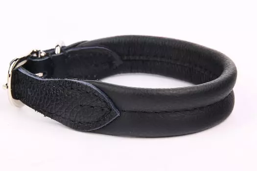 ZOOLESZCZ ошейник для собак Soft (60 х 3 см., Черный)