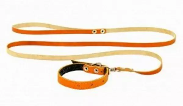 Зооник комплект кожаный ошейник+поводок для щенков