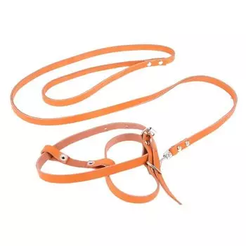 Зооник комплект кожаный поводок+шлейка (12 мм.)