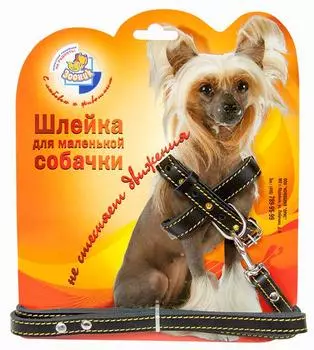 Зооник кожаная шлейка со стразами+поводок для щенков и мелких пород собак