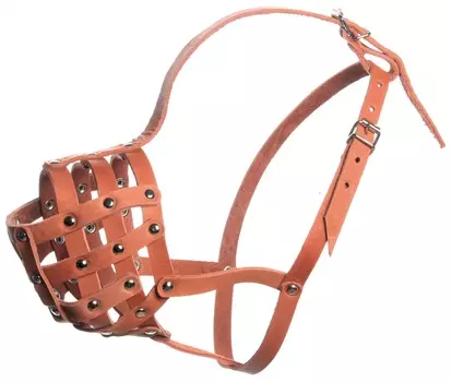 Зооник намордник кожаный Р (ротвейлер)