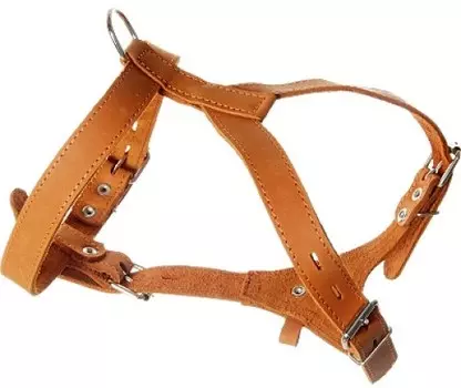 Зооник шлейка кожаная средняя (25 мм.)