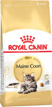 Сухой корм для кошек Royal Canin Maine Coon 31 Adult 4 кг