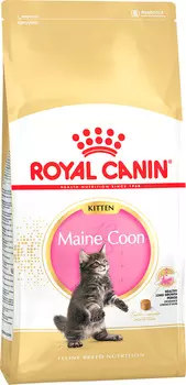 Сухой корм для котят Royal Canin Kitten Maine Coon 4 кг