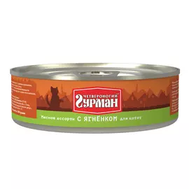 Влажный корм для котят Четвероногий Гурман Мясное ассорти с ягнёнком 0,1 кг