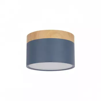 Накладной светодиодный светильник Loft IT Grape 10162 Blue