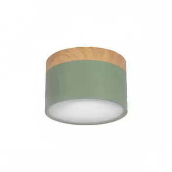 Накладной светодиодный светильник Loft IT Grape 10162 Green