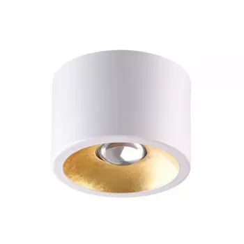 Накладной светильник Odeon Light Glasgow 6668/1CL
