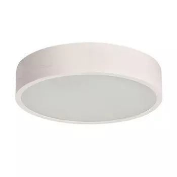 Настенно-потолочный светильник Kanlux JASMIN 370-W 23124