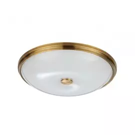 Настенно-потолочный светильник Pelow Odeon Light 4956/5