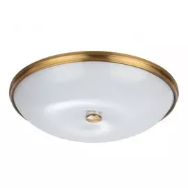 Настенно-потолочный светильник Pelow Odeon Light 4956/6
