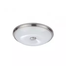 Настенно-потолочный светильник Pelow Odeon Light 4957/4