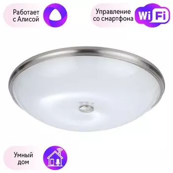Настенно-потолочный светильник Pelow Odeon Light с поддержкой Алиса 4957/6-A