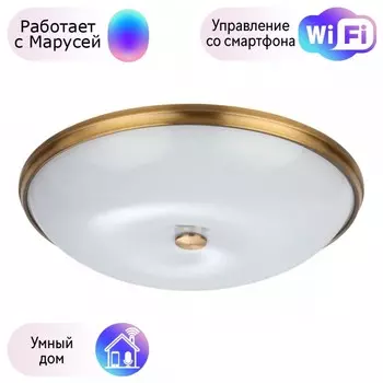 Настенно-потолочный светильник Pelow Odeon Light с поддержкой Маруся 4956/6-М