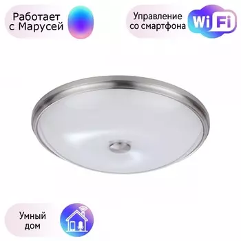 Настенно-потолочный светильник Pelow Odeon Light с поддержкой Маруся 4957/5-М