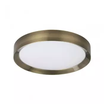 Настенно-потолочный светильник с пультом ДУ Lunor Odeon Light 4948/45CL