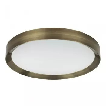 Настенно-потолочный светильник с пультом ДУ Lunor Odeon Light 4948/60CL