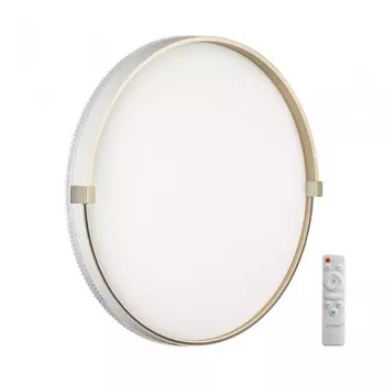 Настенно-потолочный светильник с пультом ДУ Sonex Pale Olidi White 7646/EL