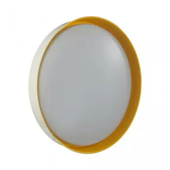Настенно-потолочный светильник Sonex Color Tuna Yellow 7711/DL