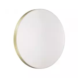 Настенно-потолочный светодиодная светильник Sonex Smalli 3048/AL