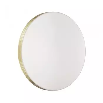 Настенно-потолочный светодиодный светильник Sonex Smalli 3048/CL