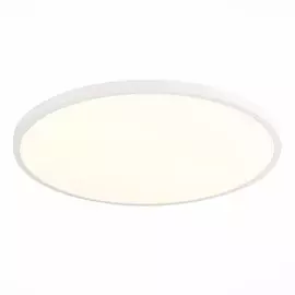 Настенно-потолочный светодиодный светильник ST Luce ST601 ST601.532.48