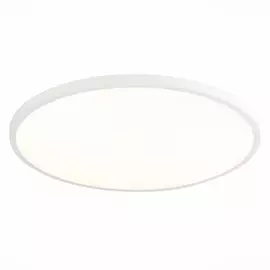 Настенно-потолочный светодиодный светильник ST Luce ST601 ST601.542.48