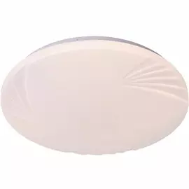 Настенно-потолочный светодиодный светильник Wink 1256/24W+24W R