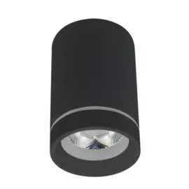 Накладной светодиодный светильник Aployt Edda APL.0054.19.10