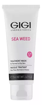 Лечебная маска для лица Sea Weed Treatment Mask For Normal To Oily Skin 75мл: Маска 75мл