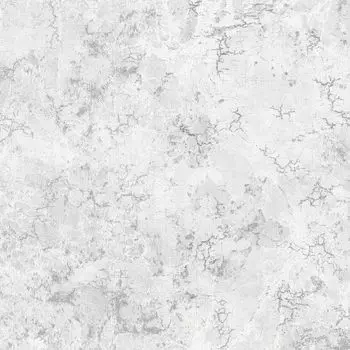 обои Palitra Family Decoratis FM71798-14, 10,05х1,06 м, серые