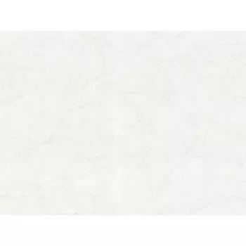 обои HOME COLOR виниловые на флизелиновой основе 10,05х1,06м, арт. HC72440-11