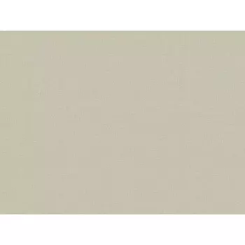 обои TREND COLOR виниловые на флизелиновой основе 10,05х1,06м, арт.TC72460-27