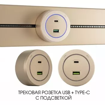 Трековая розетка USB+Type-C с подсветкой Arte Milano Am-track-sockets-39 399731TS/USB-Type-C Gold