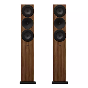 Напольная акустика Amphion