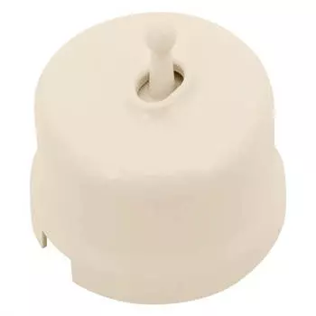 Выключатель Bironi B1-230-24, 1кл., открытый монтаж, в сборе, песочный (B1-230-24)