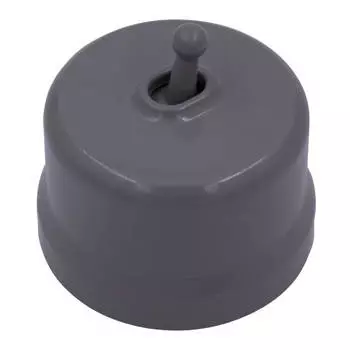 Выключатель Bironi B1-230-26, 1кл., открытый монтаж, в сборе, титан (B1-230-26)