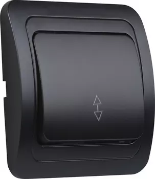 Выключатель проходной SMARTBUY Марс, 1кл., скрытый монтаж, в сборе, черный (SBE-02b-10-SW12-0-c)