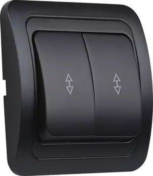Выключатель проходной SMARTBUY Марс, 2кл., скрытый монтаж, в сборе, черный (SBE-02b-10-SW22-0)