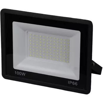 Прожектор уличный IP65 светодиодный Reluce 54001-9.2-001OL LED100W BK