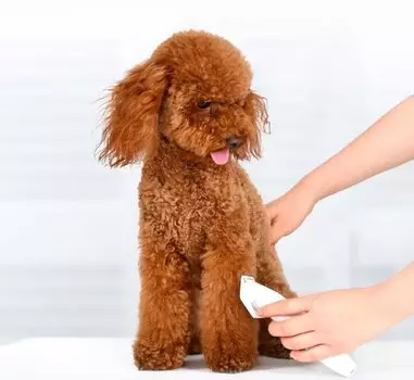 Машинка для стрижки животных Xiaomi Pawbby Pet Shaver MG-HC001